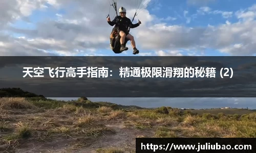 DIII彩乐园官网